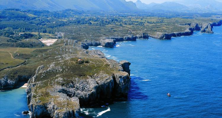 Vue aérienne de falaises côtières avec l'océan et une végétation luxuriante.
