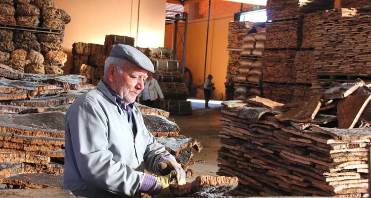 Un homme âgé travaillant avec des plaques de liège dans une zone de stockage