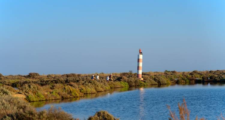 Un paysage serein avec un phare rayé au bord de l'eau