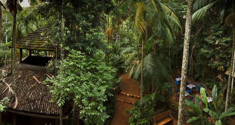 Vista exuberante de la selva con edificio tradicional de techo de paja.