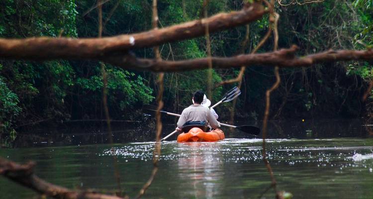 Persona navegando en kayak por un río de bosque denso.