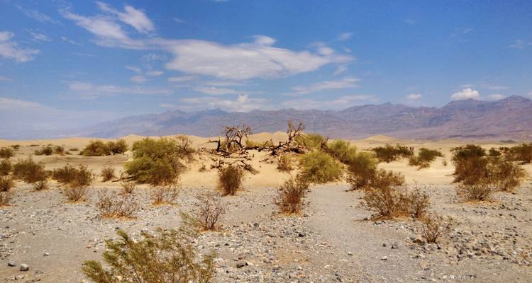 Journée d'exploration des villes fantômes du Far West au départ de Las Vegas - Bindlestiff Tours 10