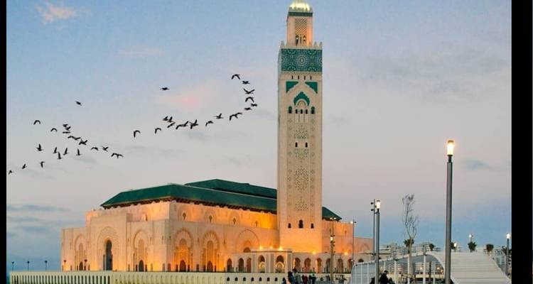 La Mezquita Hassan II con pájaros volando arriba al anochecer.