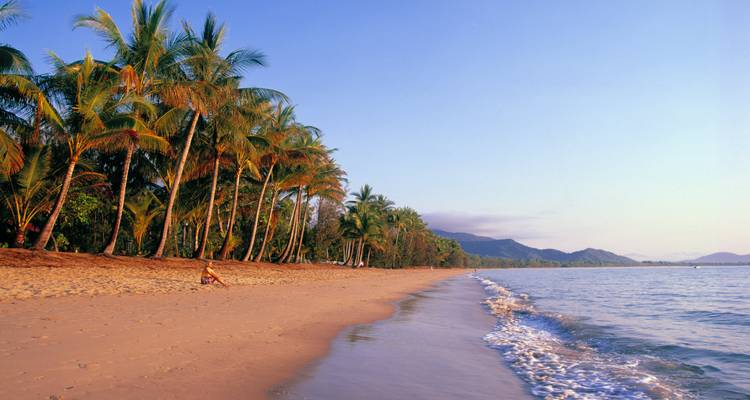Playa tropical bordeada de palmeras al amanecer con oleaje suave y una figura solitaria relajándose en la arena.