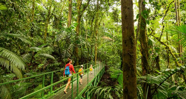 Famille marchant sur un pont suspendu dans une forêt tropicale dense.