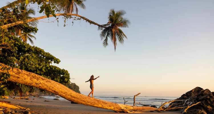Une personne en équilibre sur une bûche à la plage pendant le coucher du soleil.