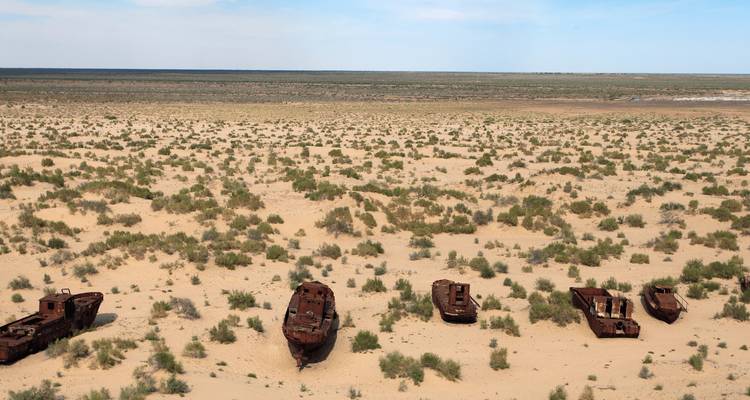 Plusieurs navires abandonnés dans un décor désertique.
