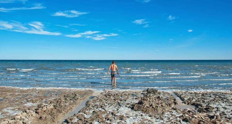 Une personne entrant dans la mer sur une plage sous un ciel bleu.