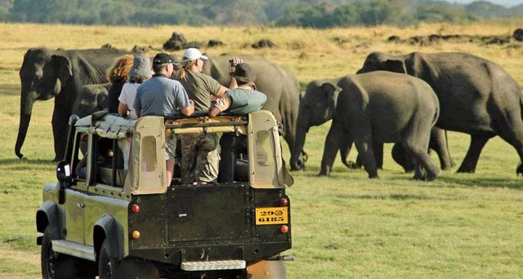 Tourists in an open‐top safari vehicle photograph a large herd of elephants crossing grassy plains.