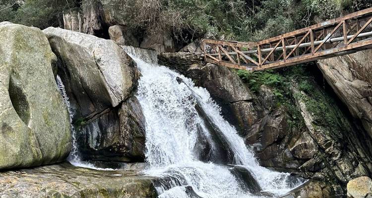 Petite cascade forestière dégringolant sous un pont rustique en bois et des blocs de granit.