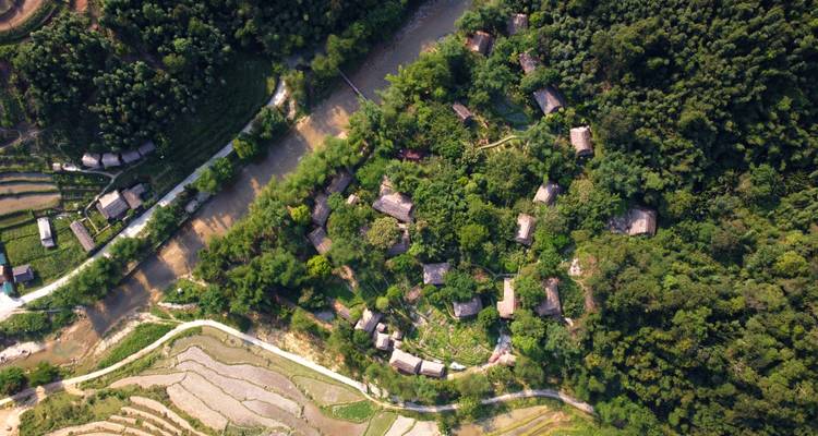 Vue aérienne de chalets nichés dans une forêt dense et verdoyante.