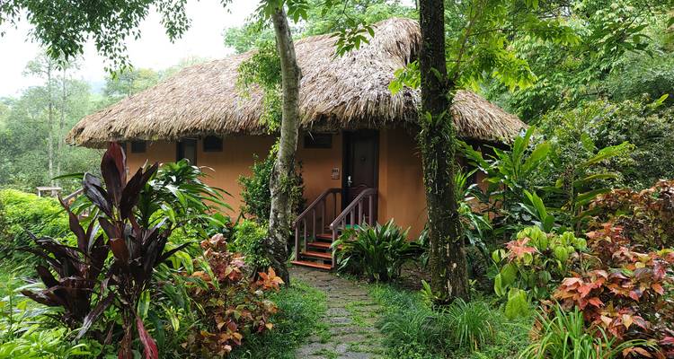 Traditionelle Hütte mit Strohdach, umgeben von üppigem Grün.