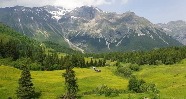 Une vue époustouflante d'une vallée verdoyante luxuriante avec des montagnes et des sommets enneigés.