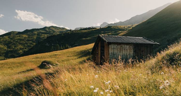 Une cabane en bois dans un paysage herbeux sous un ciel clair.