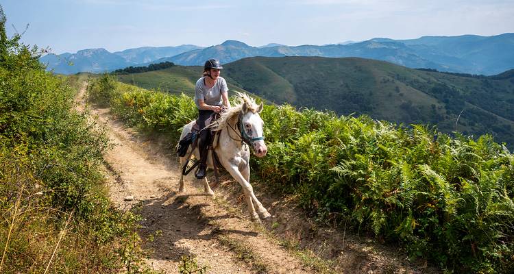 Personne montant un cheval blanc sur un sentier de montagne.