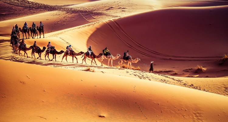 Camel caravan crossing sand dunes in the desert.