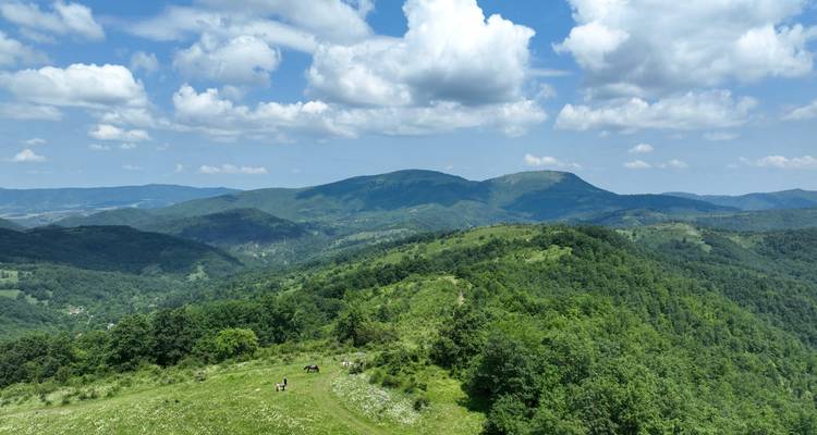 Vue panoramique de collines verdoyantes ondulantes sous un ciel bleu.
