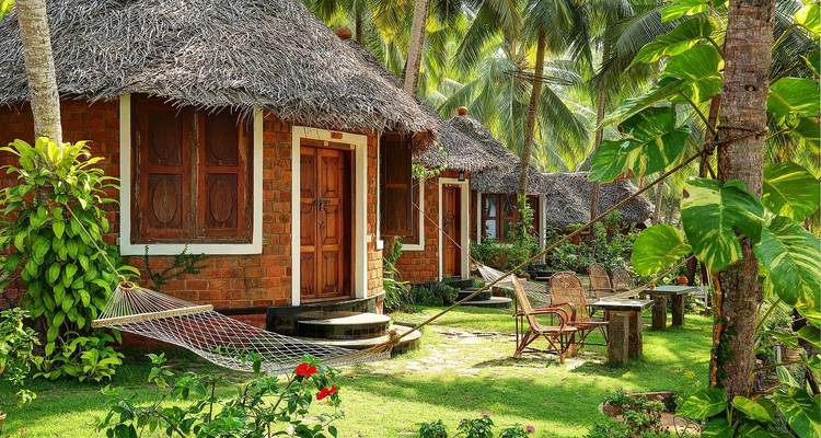 Station balnéaire tropicale avec hamacs et palmiers.