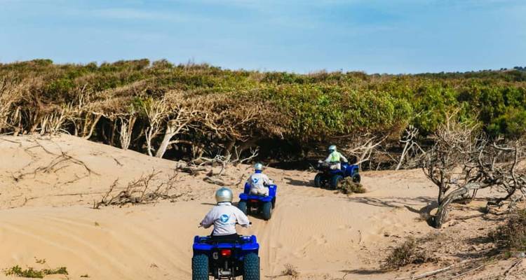 Quadfahrer, die durch Wüstengelände fahren.