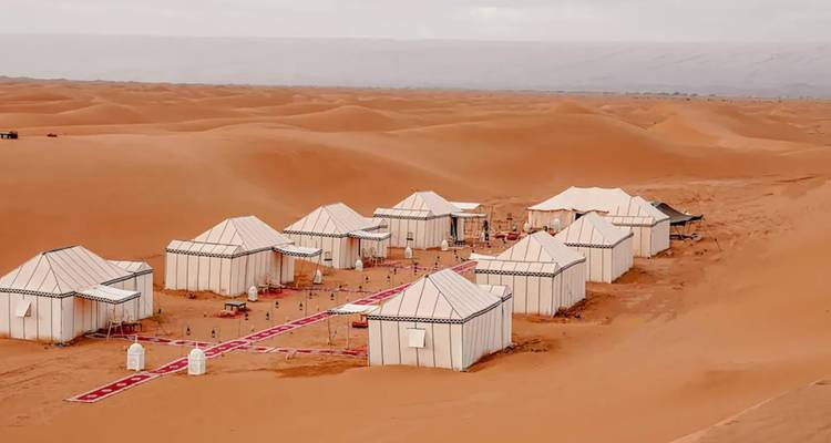 Un campement dans le désert avec plusieurs tentes installées parmi les dunes de sable.