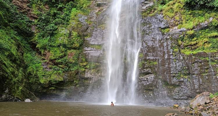 Grande cascade au milieu d'un environnement verdoyant luxuriant, avec des gens en bas.