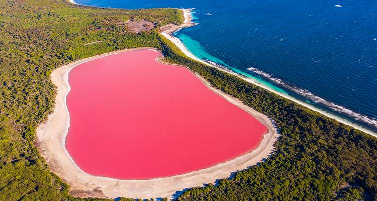 Vue aérienne d'un lac rose avec la verdure environnante et l'océan.