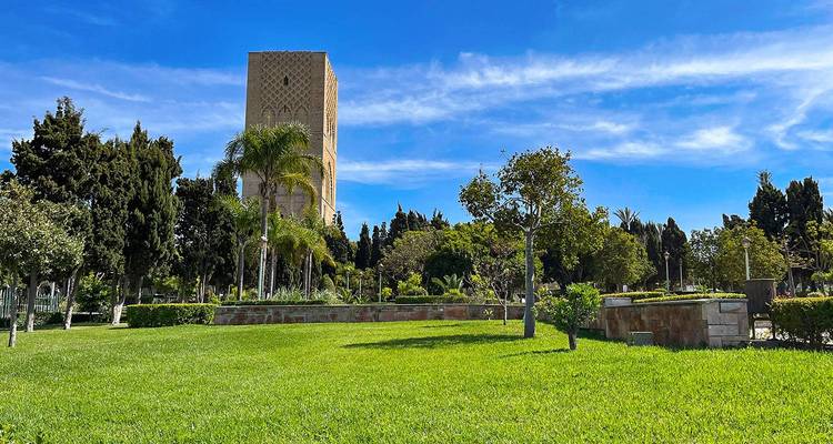 Jardín bien cuidado con una torre alta al fondo.