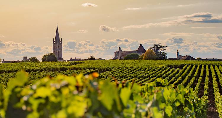 Weinberge, die sich zu einer rustikalen Stadt mit einem Kirchturm erstrecken