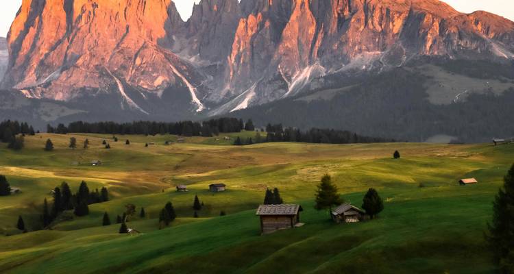 Prairies ensoleillées dans les Dolomites à Alpe di Siusi.