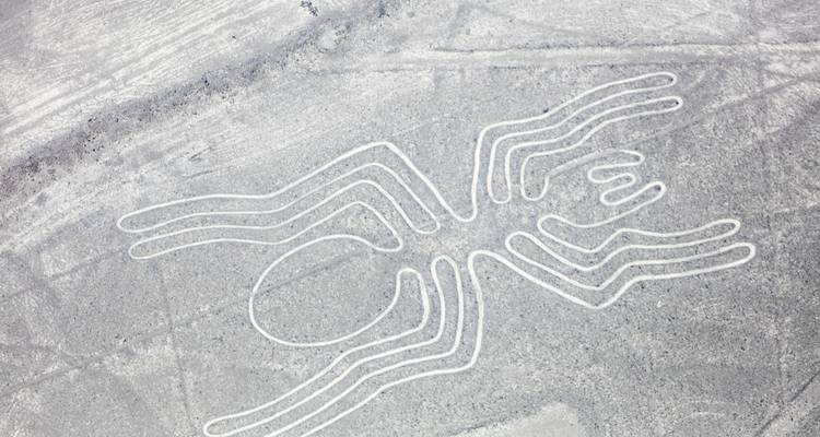 Vista aérea de una Línea de Nazca con forma de araña.