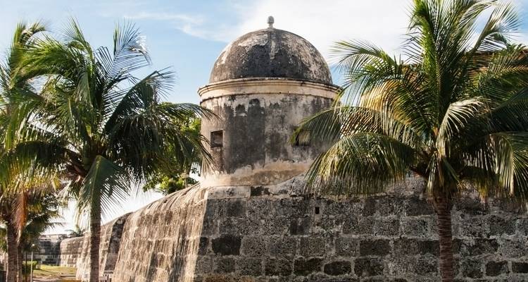 Una fortaleza histórica rodeada de palmeras.