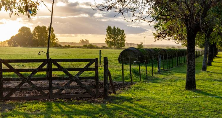 Un paysage rural avec un portail en bois et des balles de foin au coucher du soleil.
