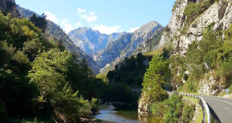 Paysage montagneux pittoresque avec une rivière et une végétation luxuriante.