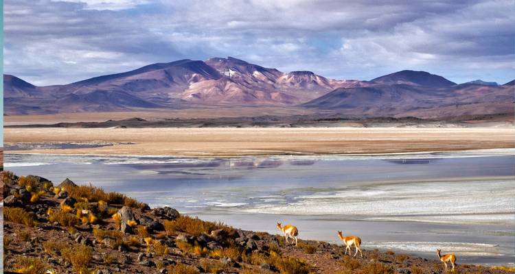 Paisaje extenso con montañas, un lago seco y fauna silvestre en libertad.