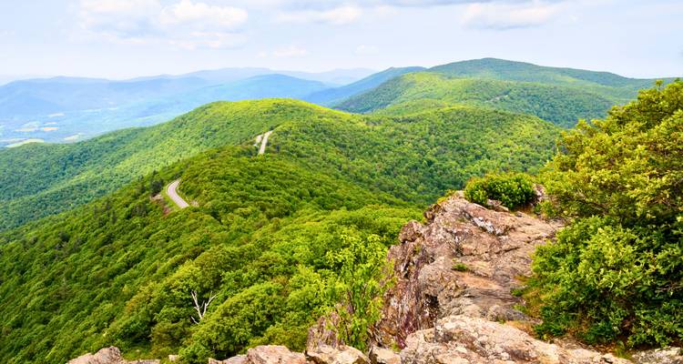 Paisaje montañoso con un camino serpenteante a través de exuberante vegetación.
