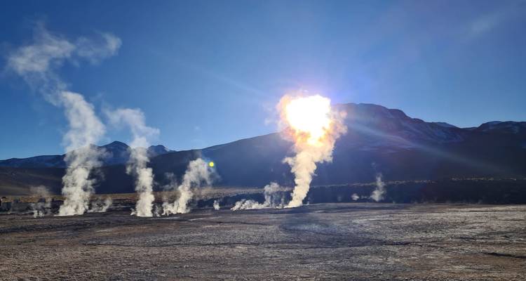 Geysers fumants et paysage aride sous un ciel bleu éclatant.