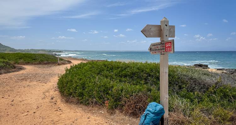 Un sentier de terre le long d'un littoral avec un panneau indicateur et un océan vibrant en arrière-plan.
