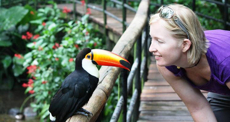 Bezoeker leunt naar een kleurrijke toekan die op een leuning zit in weelderige omgeving.