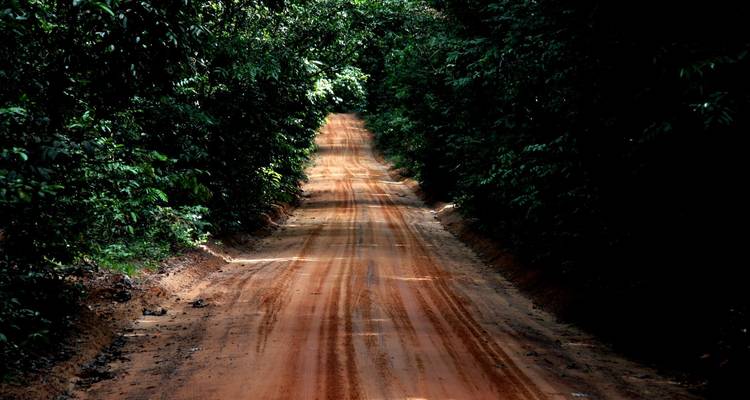 Smalle rode zandweg geflankeerd door dichte, donkergroene junglevegetatie strekt zich uit in de verte.