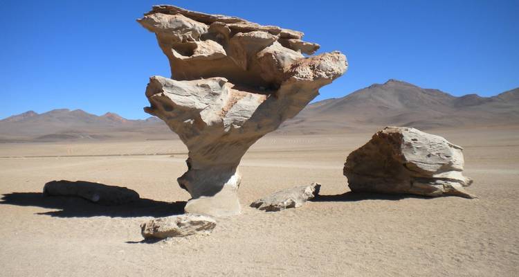 Door wind uitgesneden stenen boomformatie staat geïsoleerd in een kaal hoogwoestijnlandschap onder een heldere blauwe lucht.