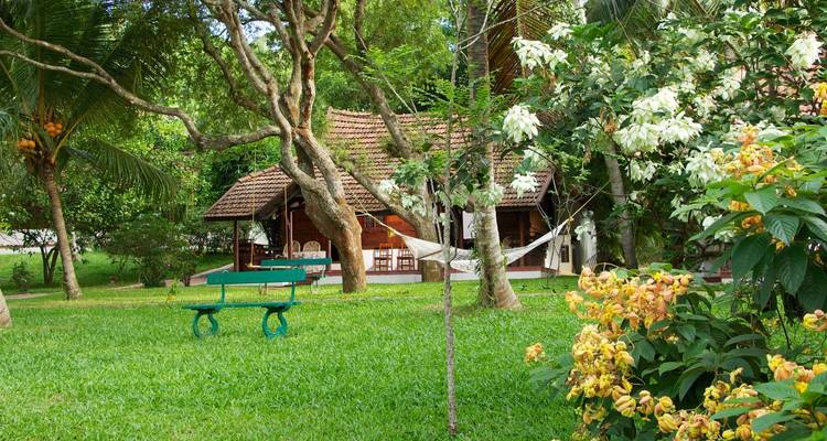 Jardin avec une petite maison entourée d'arbres et de fleurs.