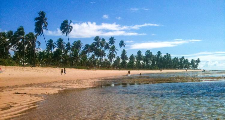 Plage avec des palmiers et des gens qui se promènent au bord de l'eau.