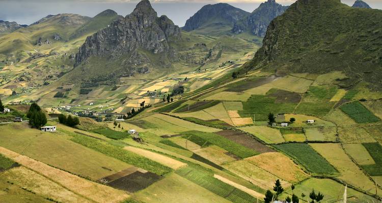 Patchwork of cultivated Andean fields with jagged green mountains rising in the background