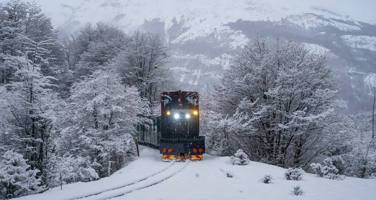 Train dans un paysage forestier enneigé.