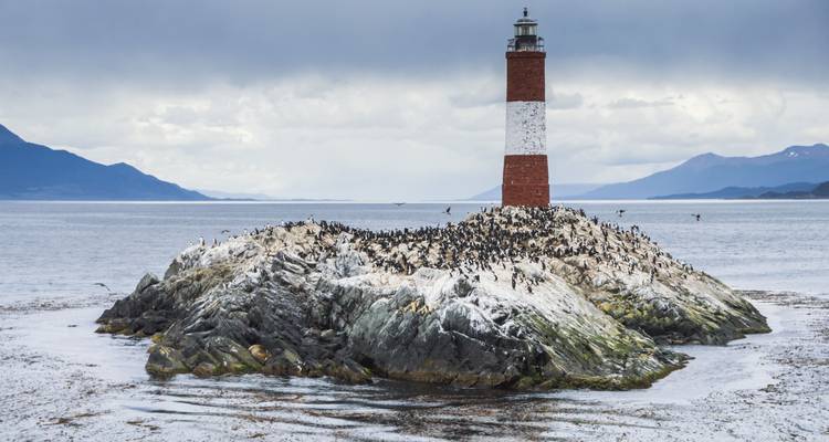 Phare sur une île rocheuse avec des oiseaux marins, entouré d'eau et de montagnes.