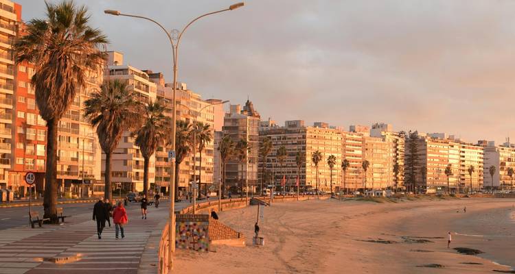 Des gens marchant le long d'un boulevard en bord de mer bordé de palmiers.