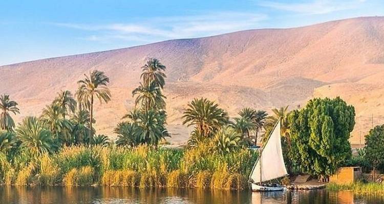 Rivière pittoresque avec un voilier et des palmiers.