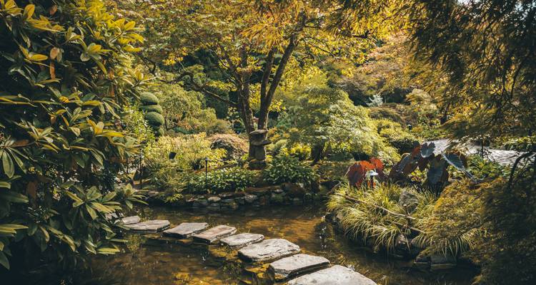 Un sendero de piedras punteadas cruza un estanque tranquilo entre follaje exuberante en un jardín botánico.