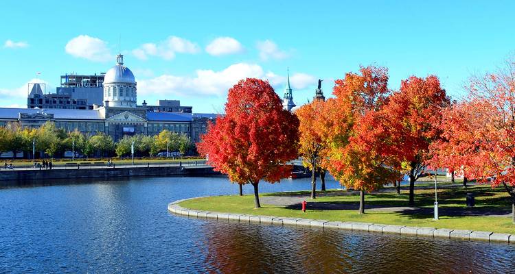 Árboles otoñales vibrantes de color rojo y naranja bordeando la orilla del Puerto Viejo de Montreal con cúpula histórica al fondo.