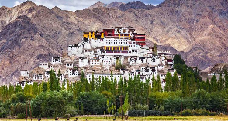 Monastère de Thiksey sur une colline avec en toile de fond des montagnes arides.